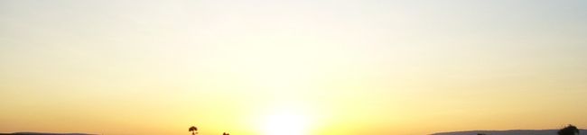 YOKOMOCO's header image