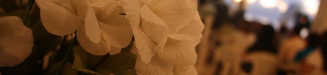 Orengemam's header image