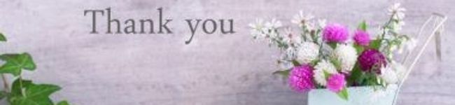 まむ✨'s header image