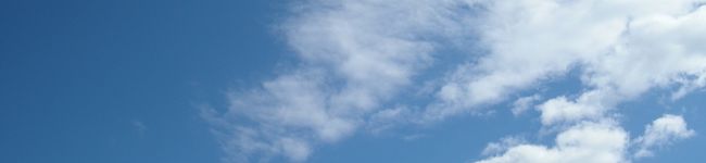 海鮮ﾕｯｹ＊'s header image