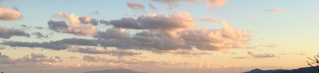 Meenies's header image