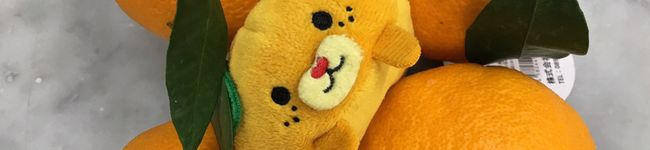 チロルちょこっ's header image