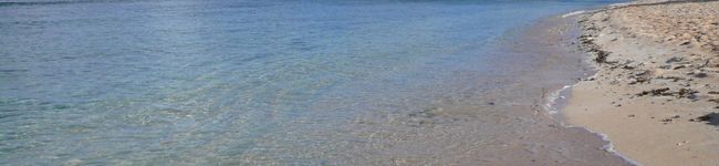 scenery_co's header image