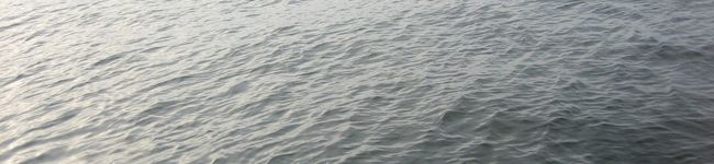 ＹＵＭＡまま's header image