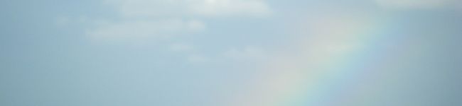 愛椛ﾏﾏ's header image