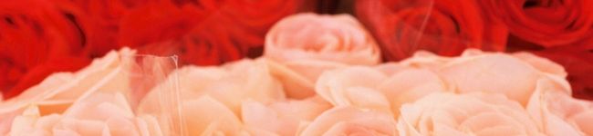 hinahono55's header image