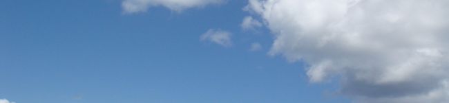 あさりご's header image
