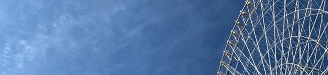 なおぴこ70's header image