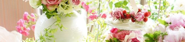 ulara55's header image