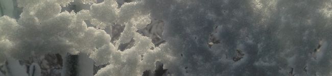 ルリコシ's header image