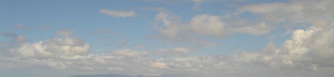 さかなかさ's header image