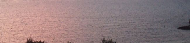 chaco_mam's header image