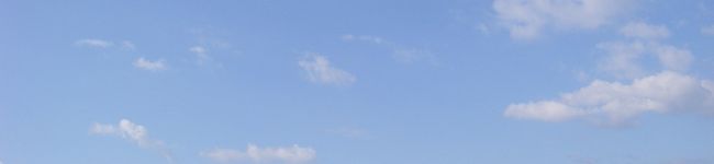 たかいちゃん's header image