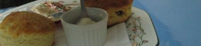 ラムロ's header image