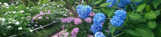 大好きな日's header image