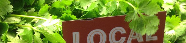 ecobeer's header image
