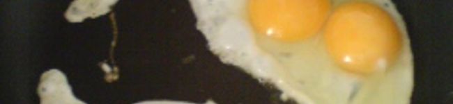 hidebo777's header image