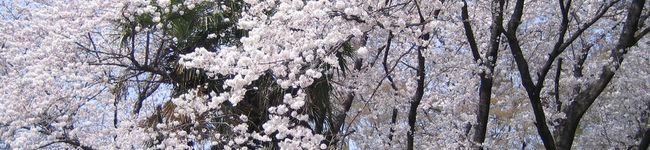 kainatu's header image