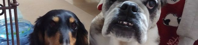 ninamh's header image