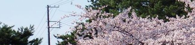 うちの・・・'s header image