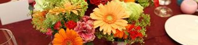 kobann's header image