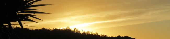 Emily7002's header image