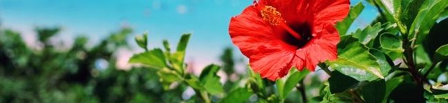 aco63☆'s header image
