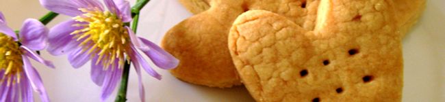 SallySue's header image