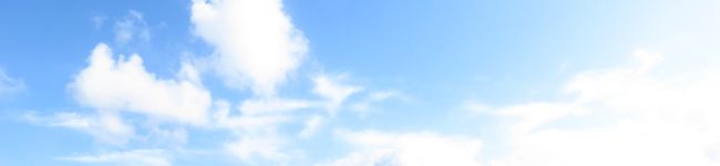 ポルチーニきのこ's header image