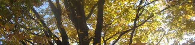 akuamarinn's header image