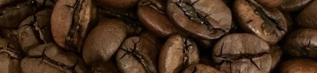 meg526's header image