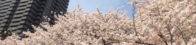 川芽まりな's header image