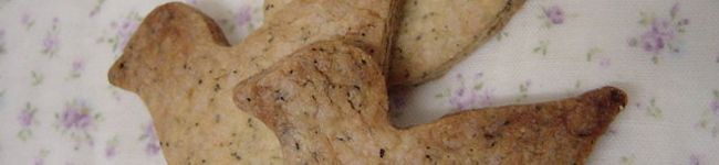 meena*meena's header image