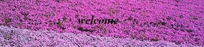 mama☆panda's header image
