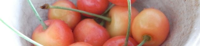 kanakky's header image