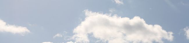 アネムネム's header image