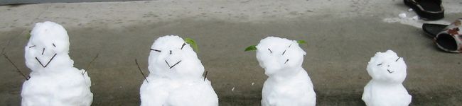 か～か's header image