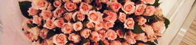 桃＊＊'s header image