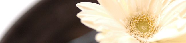 ALTIONY's header image