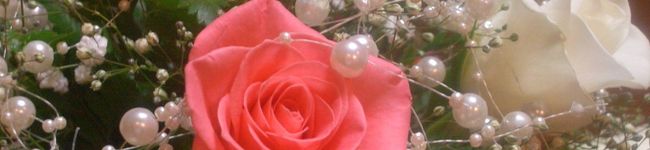 ♪☆マロン☆♪'s header image