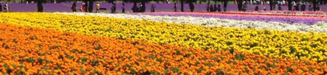 yukkana's header image
