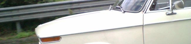 yellowdog's header image