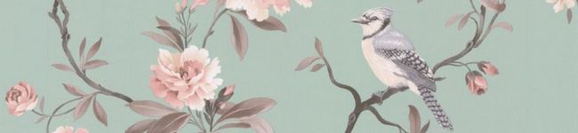 ここまよ's header image