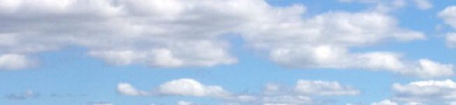 NYQUEEN's header image