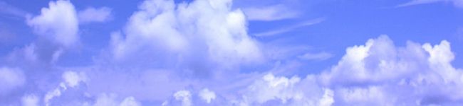 ぴょんこ♪♪'s header image