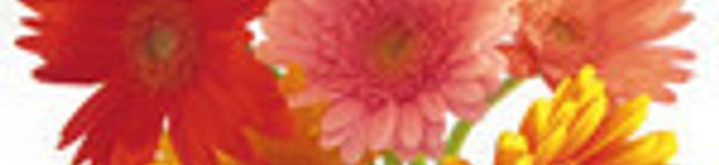 ♪may♪'s header image