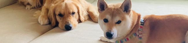 西岡部屋's header image
