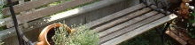 loveloveaimi's header image