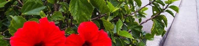 なの０５１８'s header image