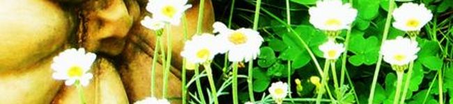 ricoshe's header image